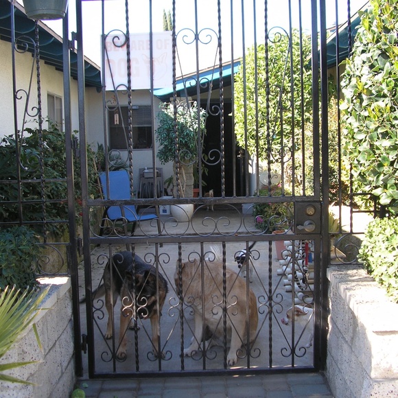 Meet your Posher, Evelyn - Picture 8 of 8